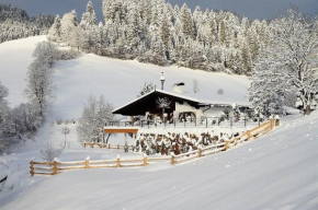 Chalet Kitzbichl by Alpin Charme Apartments